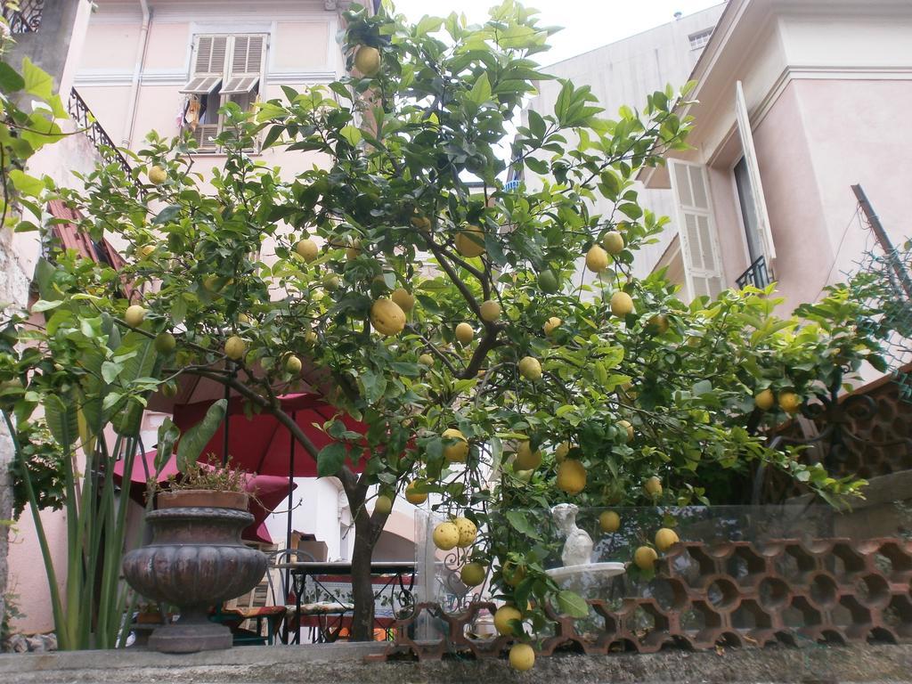 Villa Saphir Nizza Esterno foto